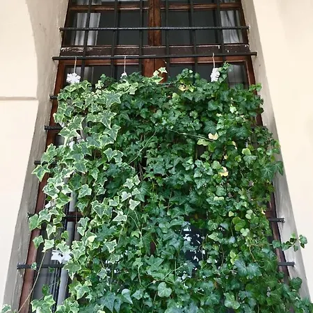 公寓 Casa San Massimo